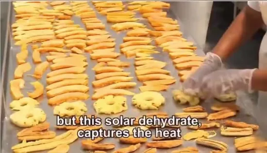  Сделано в Китае.  Высокая эффективность хранения фруктов и овощей Солнечная сушилка для теплицы
